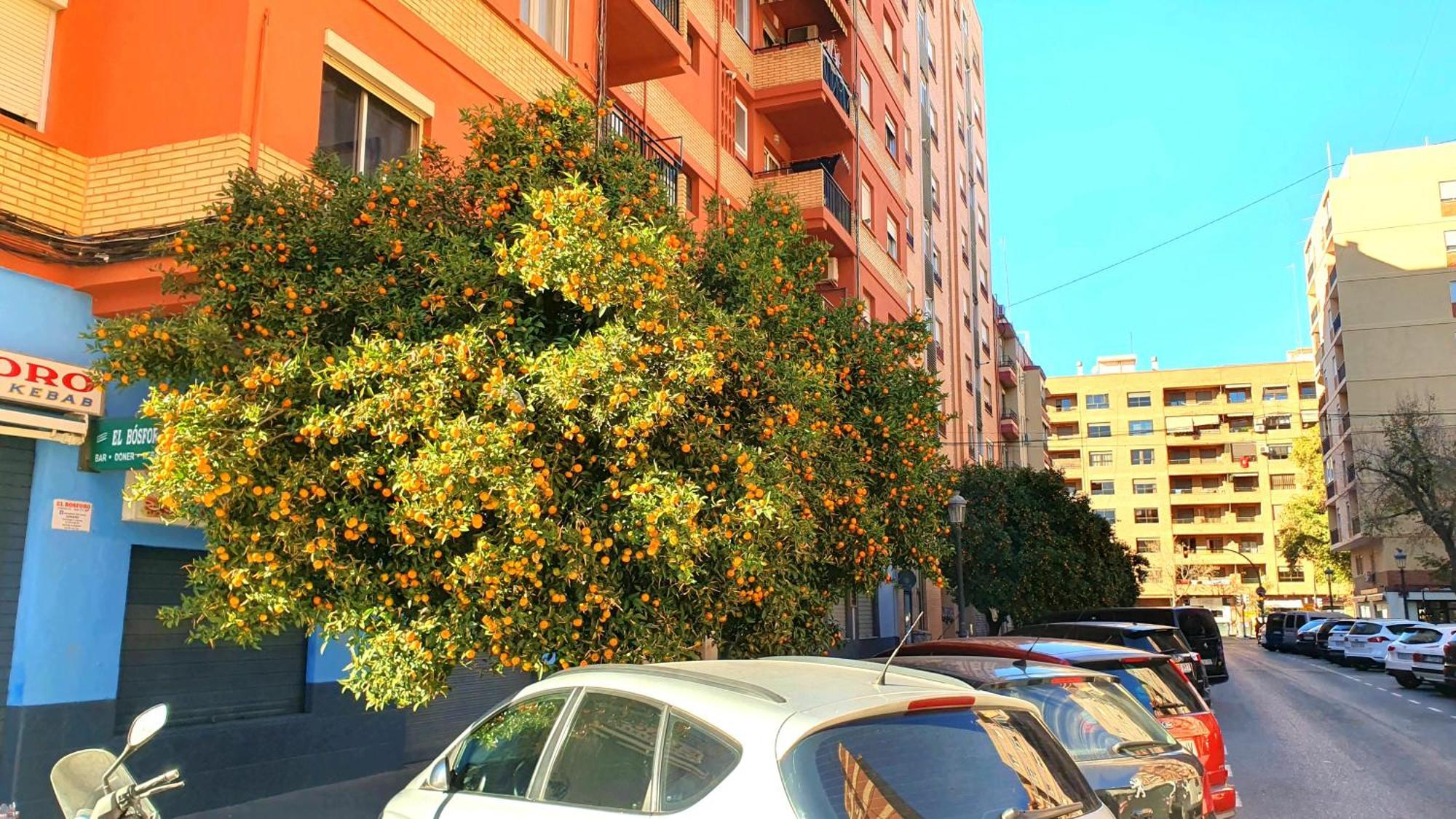 Nuevo Apartamentos Costa Del Alma Valensiya Dış mekan fotoğraf