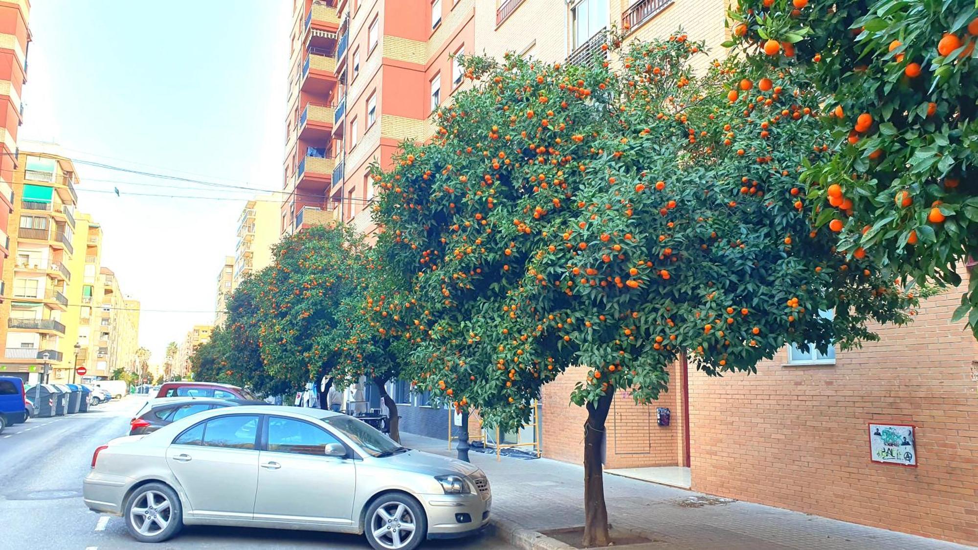 Nuevo Apartamentos Costa Del Alma Valensiya Dış mekan fotoğraf